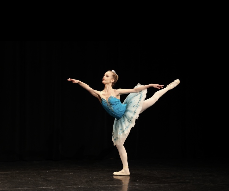 Pointe shoes in afternoon light